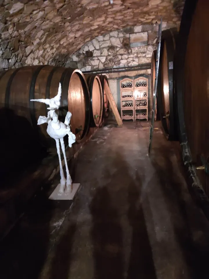 Old barrels in the stone cellar at Slobodné